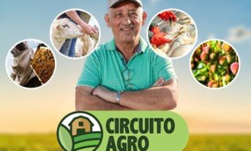 ASN Bahia - Agência Sebrae de Notícias