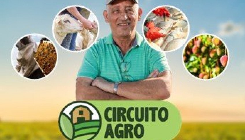 ASN Bahia - Agência Sebrae de Notícias