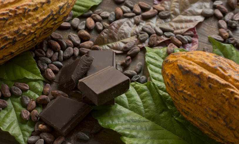 ASN Bahia - Agência Sebrae de Notícias