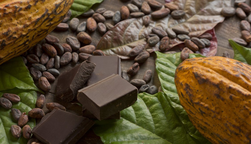 ASN Bahia - Agência Sebrae de Notícias