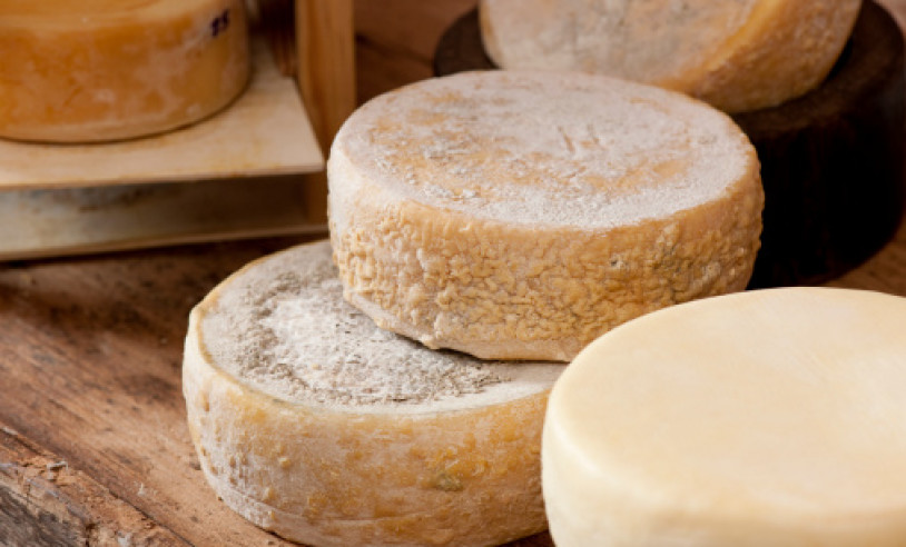 ASN Bahia - Agência Sebrae de Notícias