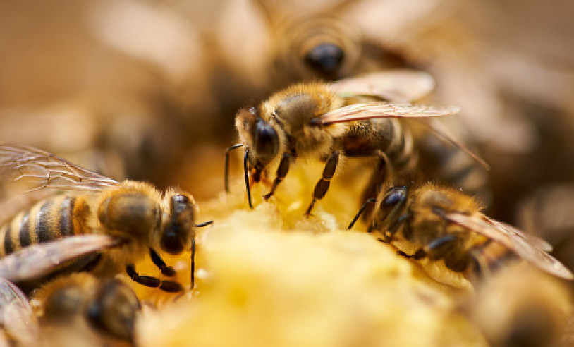 ASN Bahia - Agência Sebrae de Notícias