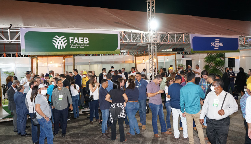 ASN Bahia - Agência Sebrae de Notícias