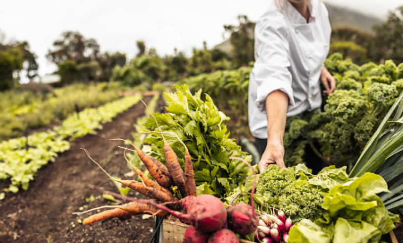 ASN Bahia - Agência Sebrae de Notícias