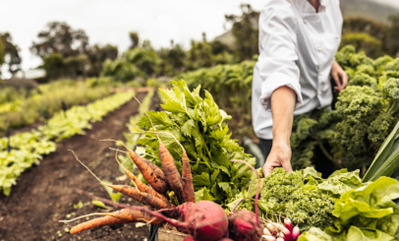 ASN Bahia - Agência Sebrae de Notícias