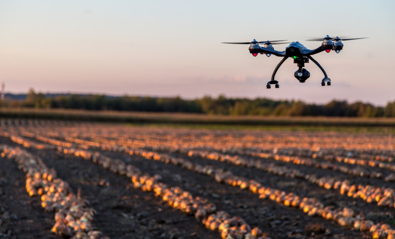 ASN Bahia - Agência Sebrae de Notícias