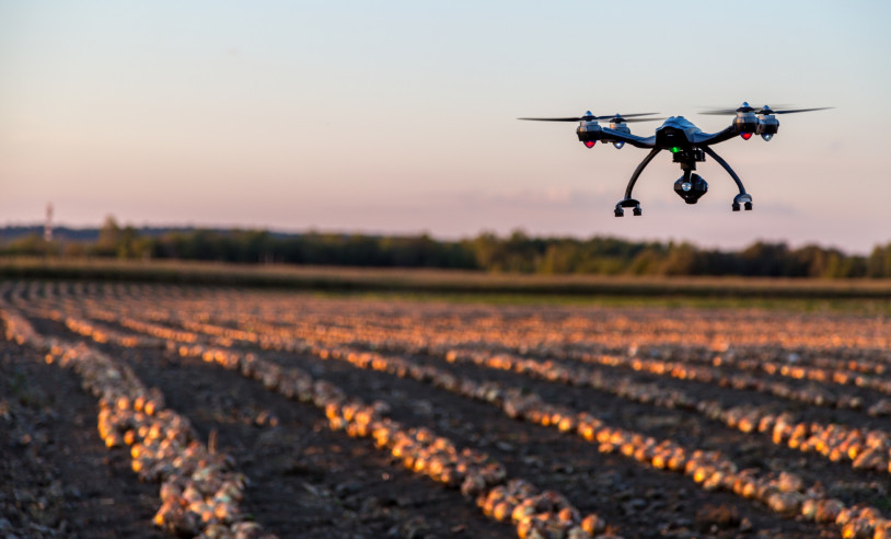 ASN Bahia - Agência Sebrae de Notícias