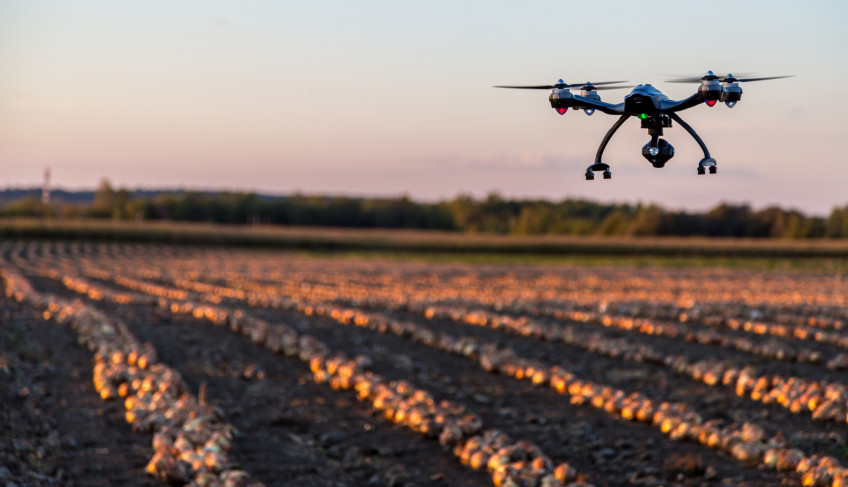 ASN Bahia - Agência Sebrae de Notícias