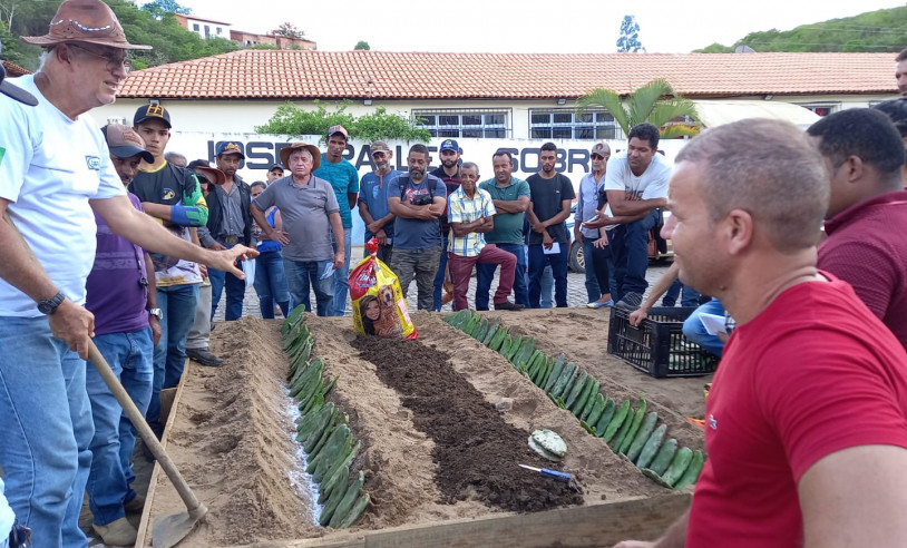 ASN Bahia - Agência Sebrae de Notícias