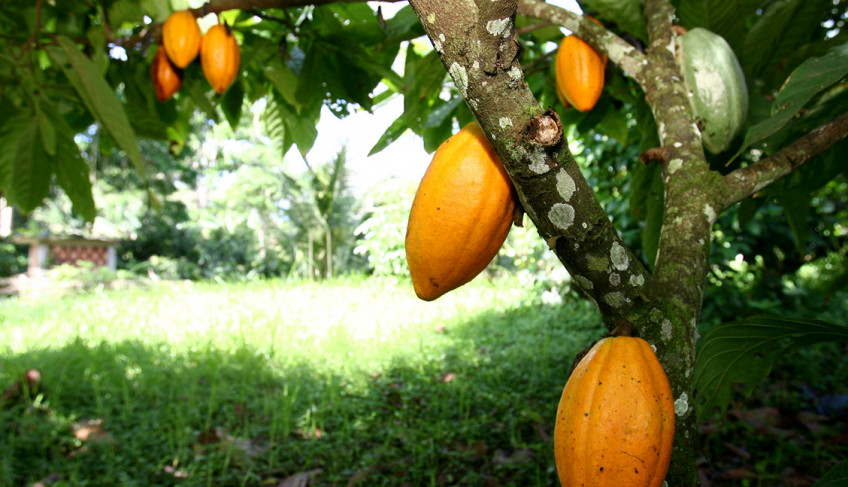 ASN Bahia - Agência Sebrae de Notícias