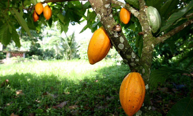 ASN Bahia - Agência Sebrae de Notícias