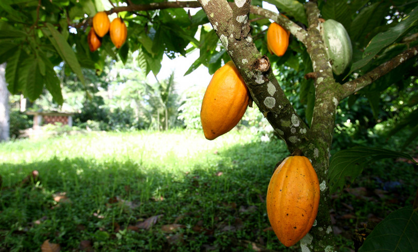 ASN Bahia - Agência Sebrae de Notícias