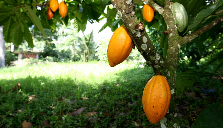 ASN Bahia - Agência Sebrae de Notícias