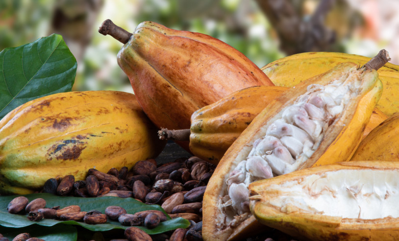 ASN Bahia - Agência Sebrae de Notícias