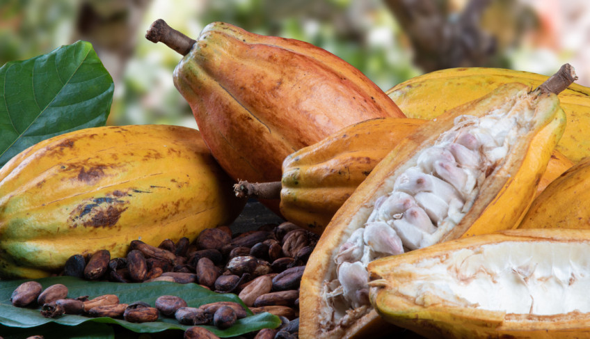 ASN Bahia - Agência Sebrae de Notícias