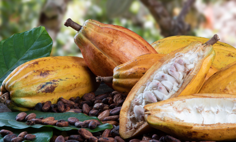 ASN Bahia - Agência Sebrae de Notícias