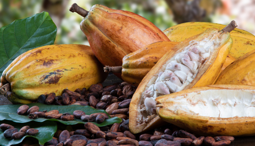 ASN Bahia - Agência Sebrae de Notícias