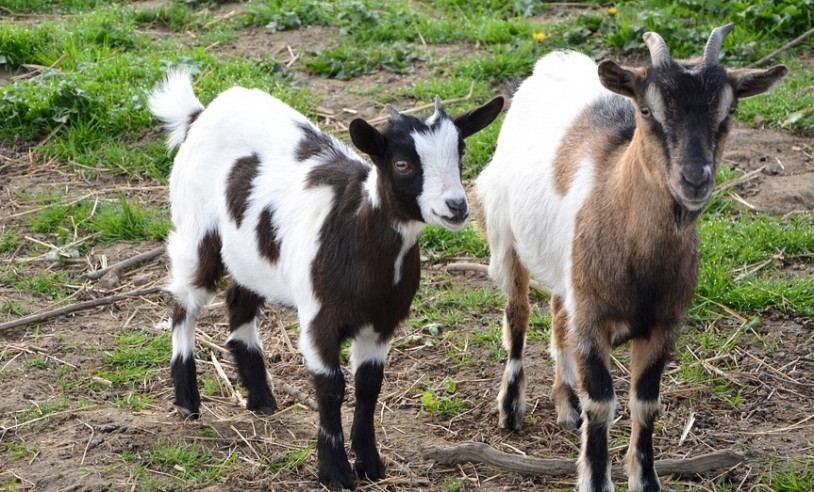 ASN Bahia - Agência Sebrae de Notícias