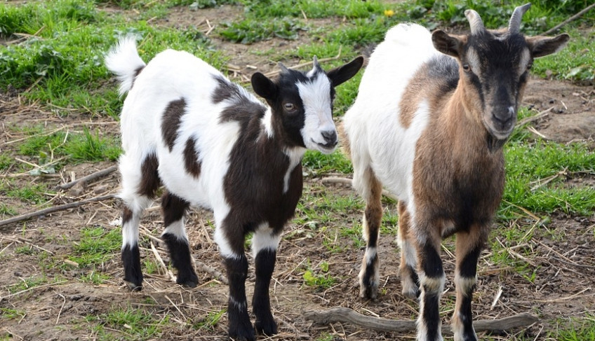 ASN Bahia - Agência Sebrae de Notícias
