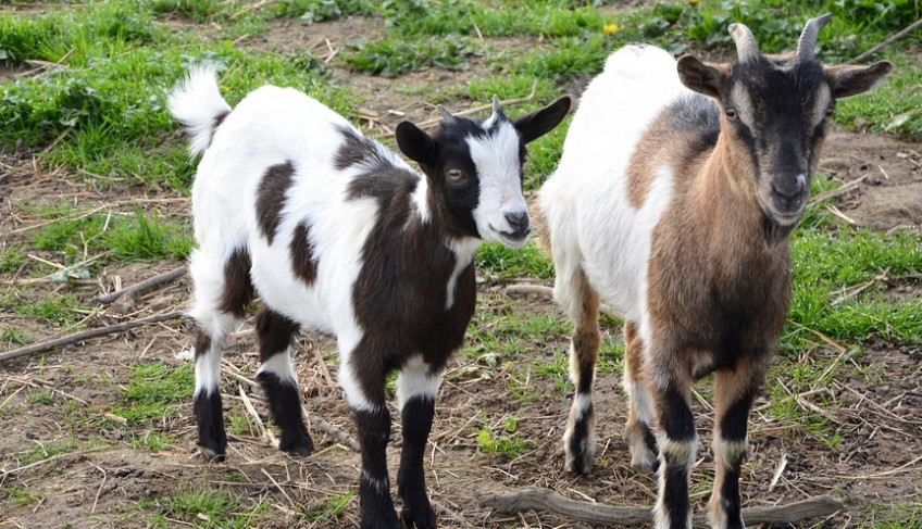 ASN Bahia - Agência Sebrae de Notícias