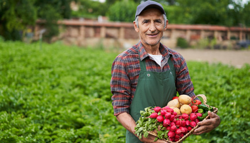 ASN Bahia - Agência Sebrae de Notícias