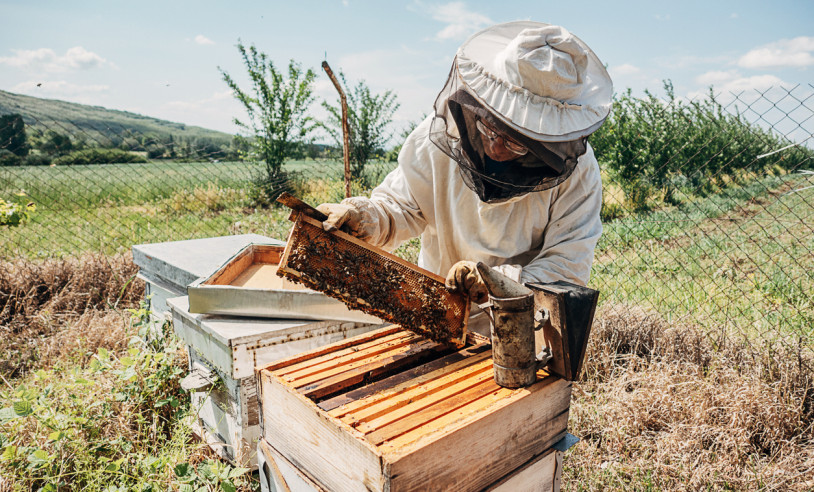 ASN Bahia - Agência Sebrae de Notícias