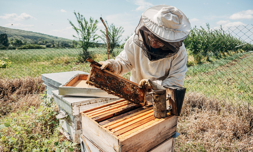 ASN Bahia - Agência Sebrae de Notícias