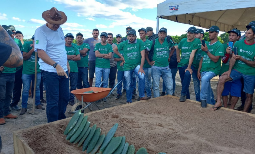 ASN Bahia - Agência Sebrae de Notícias