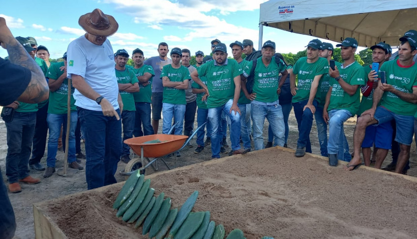 ASN Bahia - Agência Sebrae de Notícias