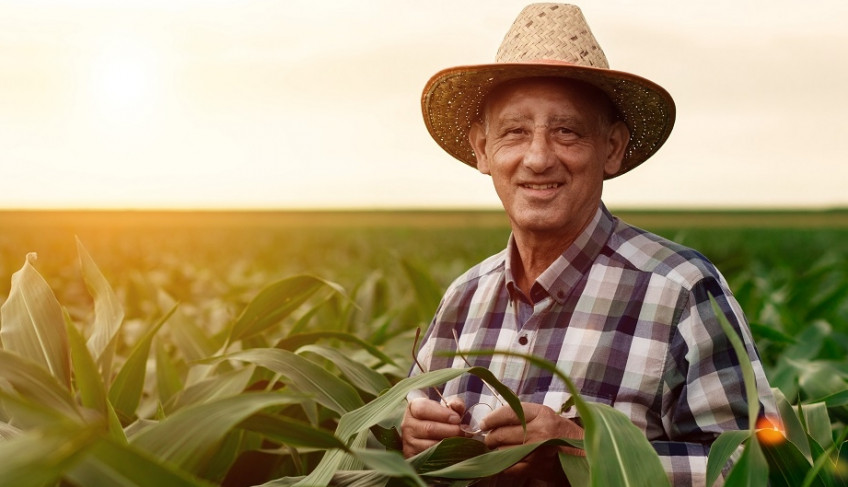 ASN Bahia - Agência Sebrae de Notícias