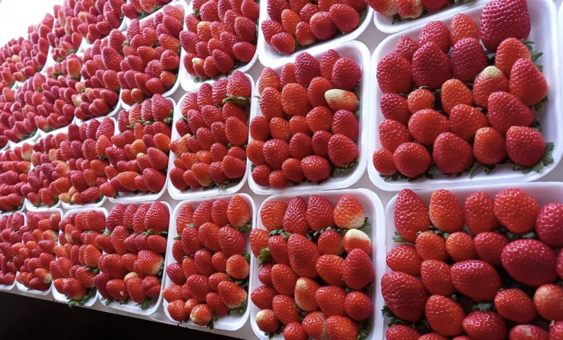 ASN Bahia - Agência Sebrae de Notícias