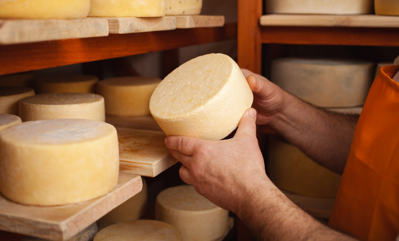 Sebrae e IF Baiano promovem curso de produção de queijos artesanais em Guanambi | ASN Bahia - Agência Sebrae de Notícias