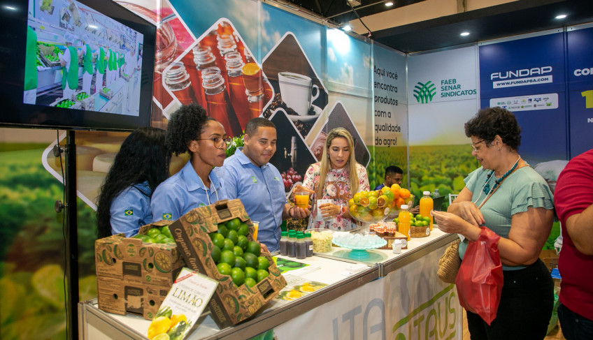 ASN Bahia - Agência Sebrae de Notícias