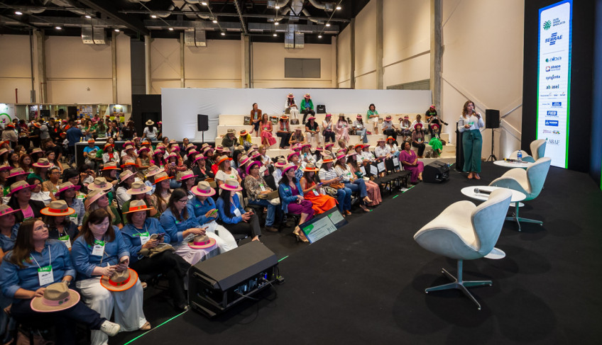 ASN Bahia - Agência Sebrae de Notícias