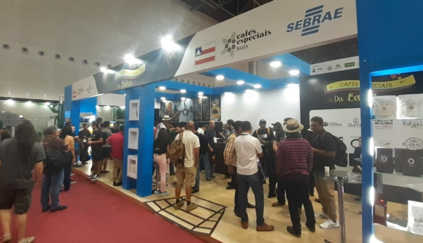 ASN Bahia - Agência Sebrae de Notícias