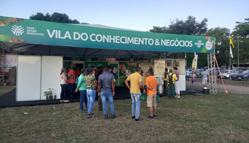 ASN Bahia - Agência Sebrae de Notícias