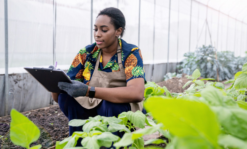 ASN Bahia - Agência Sebrae de Notícias