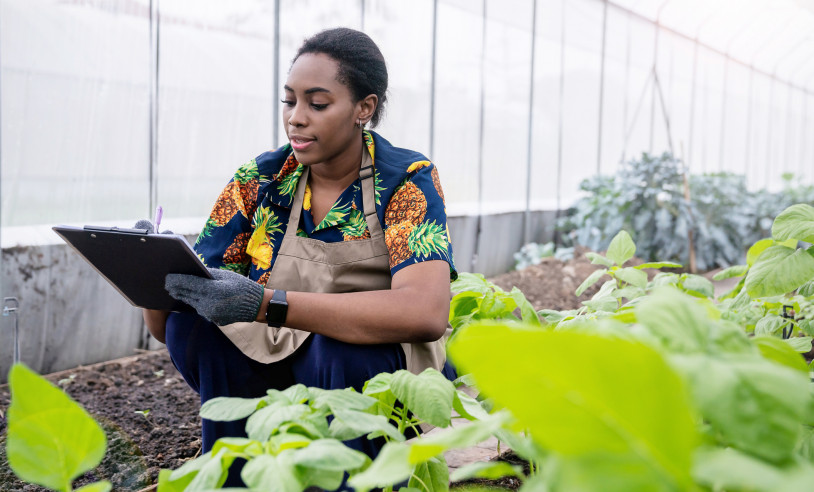 ASN Bahia - Agência Sebrae de Notícias