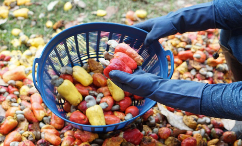 ASN Bahia - Agência Sebrae de Notícias