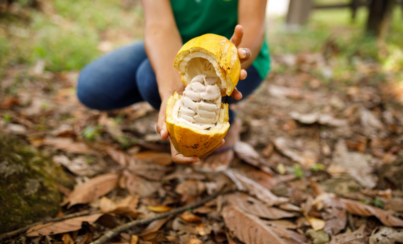 ASN Bahia - Agência Sebrae de Notícias