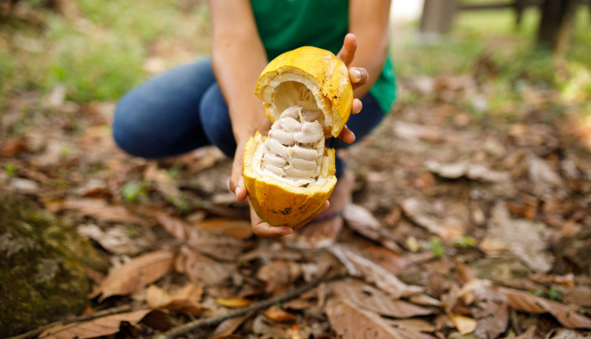 ASN Bahia - Agência Sebrae de Notícias