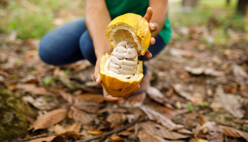 ASN Bahia - Agência Sebrae de Notícias