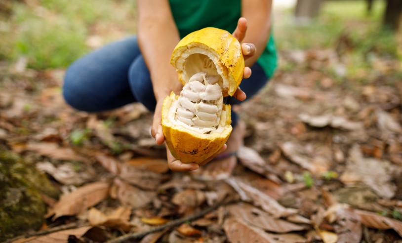 ASN Bahia - Agência Sebrae de Notícias