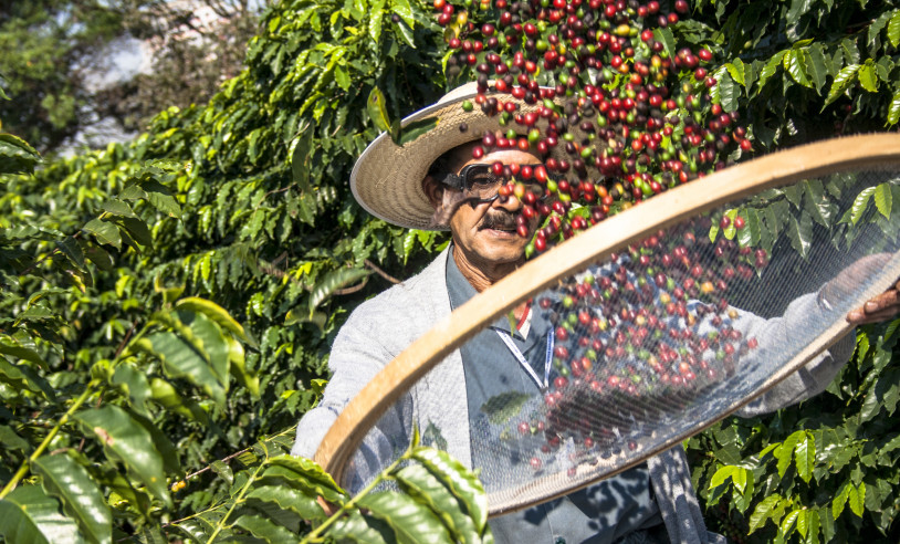 ASN Bahia - Agência Sebrae de Notícias