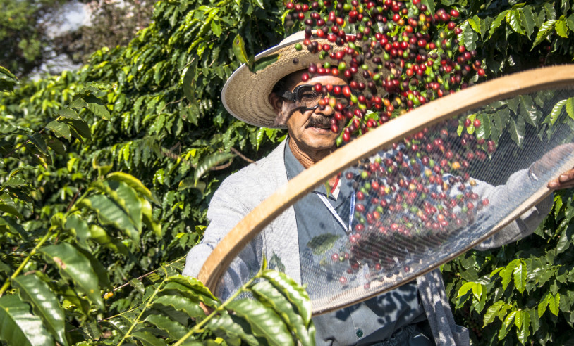 ASN Bahia - Agência Sebrae de Notícias
