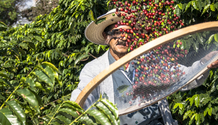 ASN Bahia - Agência Sebrae de Notícias