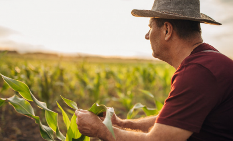 ASN Bahia - Agência Sebrae de Notícias