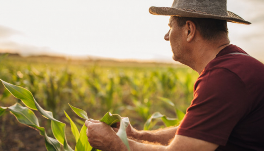 ASN Bahia - Agência Sebrae de Notícias