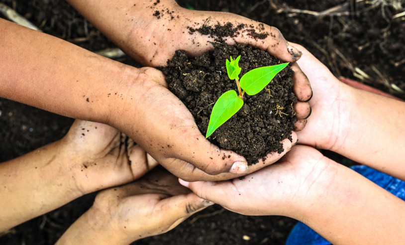 ASN Bahia - Agência Sebrae de Notícias