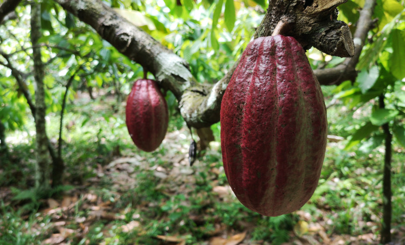 ASN Bahia - Agência Sebrae de Notícias